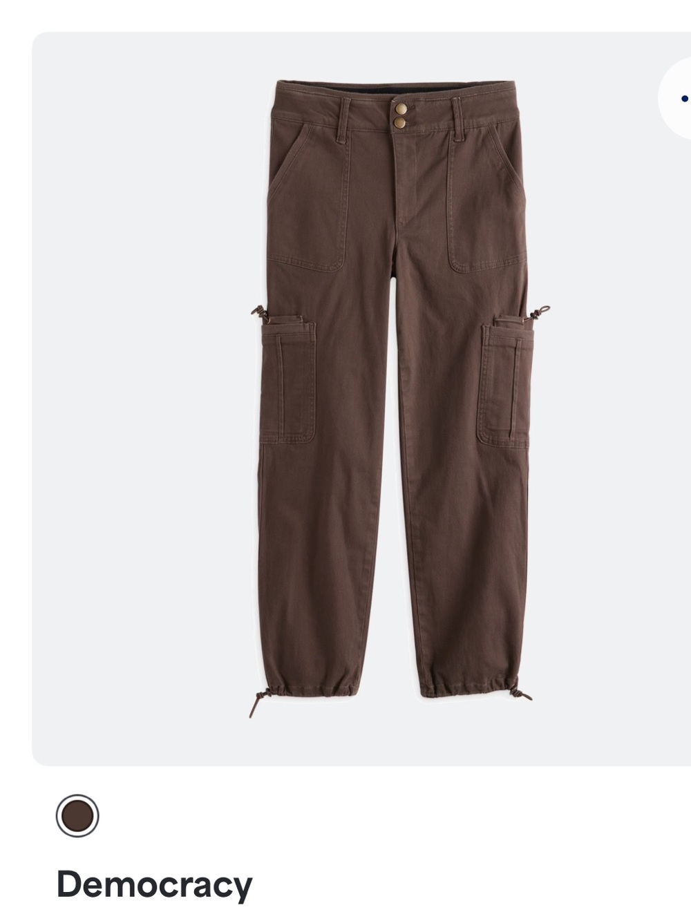 Stitch Fix Democracy chocolate Brown Cargo Jogger Pants